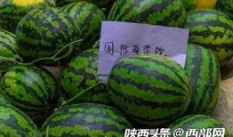 今日吃瓜,揭秘娱乐圈最新热点事件